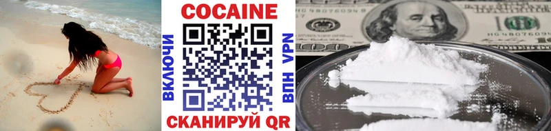 Купить закладки  Жиздра  COCAIN VHQ 