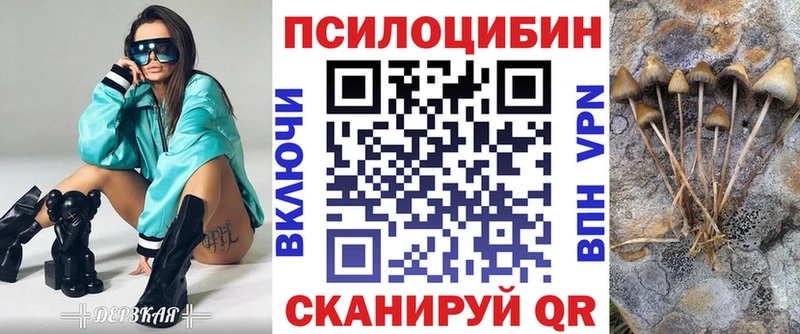 Купить  Жиздра  Псилоцибиновые грибы MAGIC MUSHROOMS 